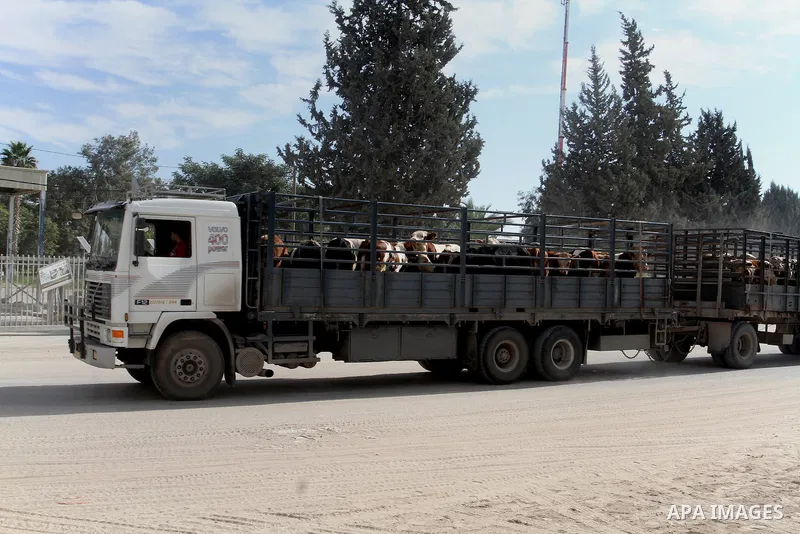 Trucks loaded with goods enter the Gaza Strip from Israel through the Kerem Shalom crossing in Rafah in the southern Gaza Strip on Jan. 18, 2016. Photo by Abed Rahim Khatib