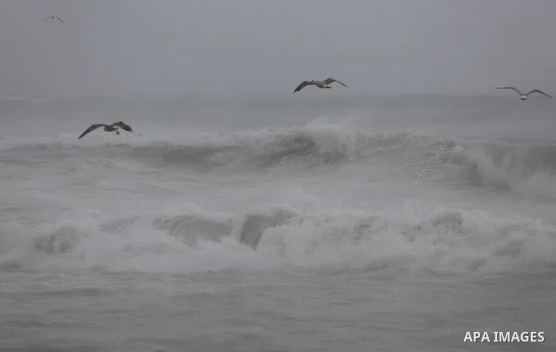 Seagulls fly over the seaport, during a rainy day, in Gaza City, January 24, 2016. Photo by Mohammed Asad