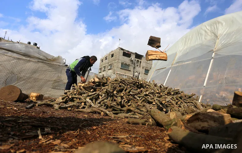 A Palestinian vendor stands in front of logs for heating and cooking on a rainy day, in Khan Younis in the southern Gaza Strip, January 24, 2016. Photo by Yasser Qudih