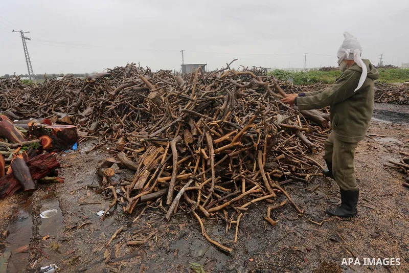 A Palestinian man collects firewood to sell to customers during a winter storm in Gaza city on Jan. 26, 2016. Photo by Mohammed Asad