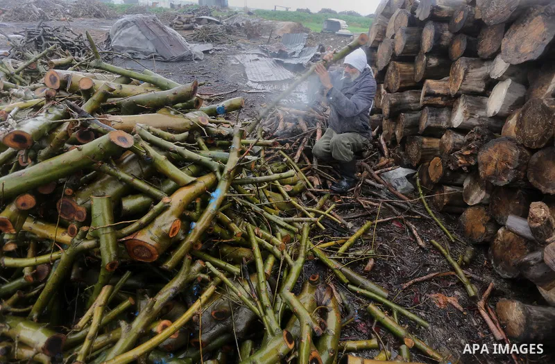A Palestinian man collects firewood to sell to customers during a winter storm in Gaza city on Jan. 26, 2016. Photo by Mohammed Asad