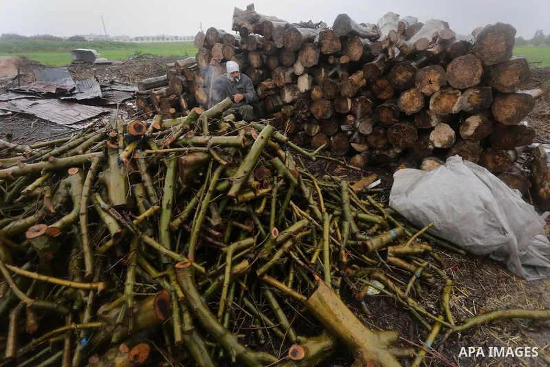 A Palestinian man collects firewood to sell to customers during a winter storm in Gaza city on Jan. 26, 2016. Photo by Mohammed Asad