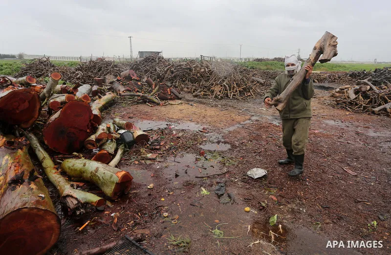 A Palestinian man collects firewood to sell to customers during a winter storm in Gaza city on Jan. 26, 2016. Photo by Mohammed Asad
