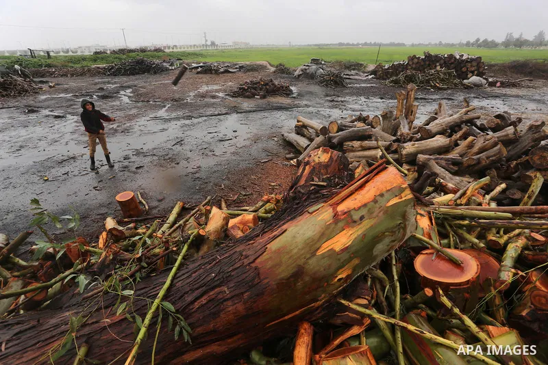 A Palestinian youth collects firewood to sell to customers during a winter storm in Gaza city on Jan. 26, 2016. Photo by Mohammed Asad