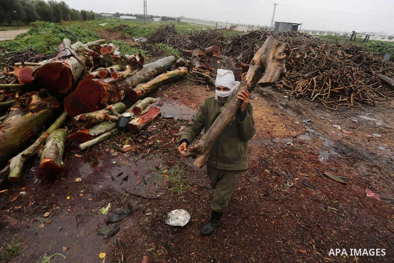 A Palestinian man collects firewood to sell to customers during a winter storm in Gaza city on Jan. 26, 2016. Photo by Mohammed Asad
