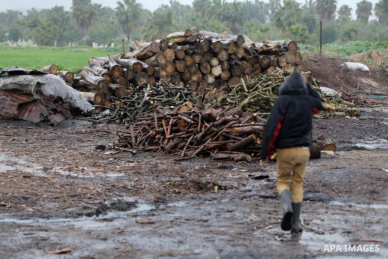 A Palestinian youth collects firewood to sell to customers during a winter storm in Gaza city on Jan. 26, 2016. Photo by Mohammed Asad