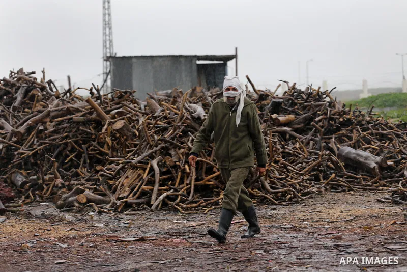 A Palestinian man collects firewood to sell to customers during a winter storm in Gaza city on Jan. 26, 2016. Photo by Mohammed Asad