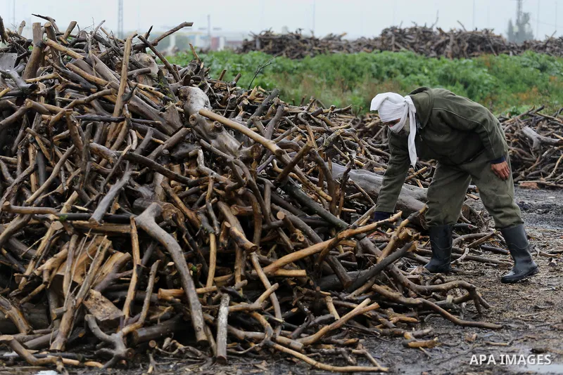 A Palestinian man collects firewood to sell to customers during a winter storm in Gaza city on Jan. 26, 2016. Photo by Mohammed Asad