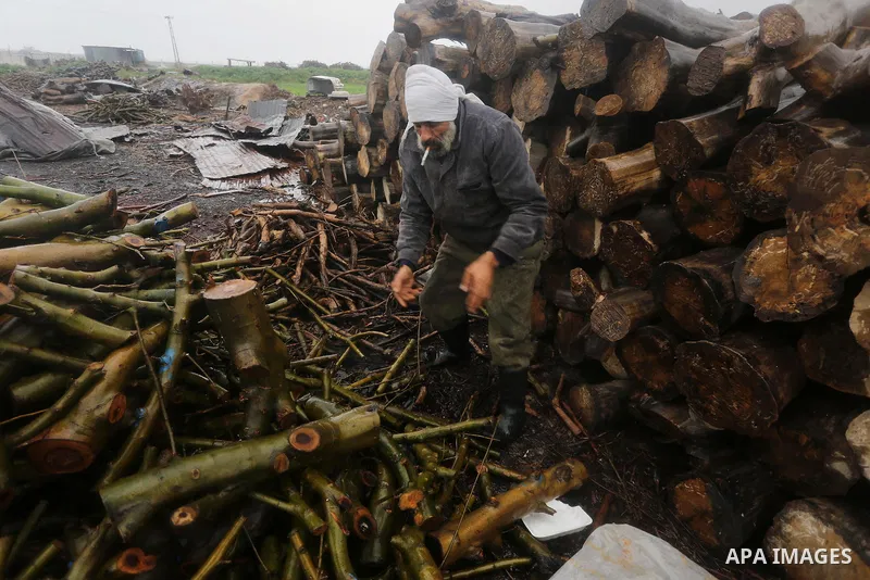 A Palestinian man collects firewood to sell to customers during a winter storm in Gaza city on Jan. 26, 2016. Photo by Mohammed Asad