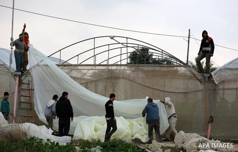 Palestinians repair greenhouses following heavy rainfall in Rafah in the southern Gaza Strip January 27, 2016. Photo by Yasser Qudih