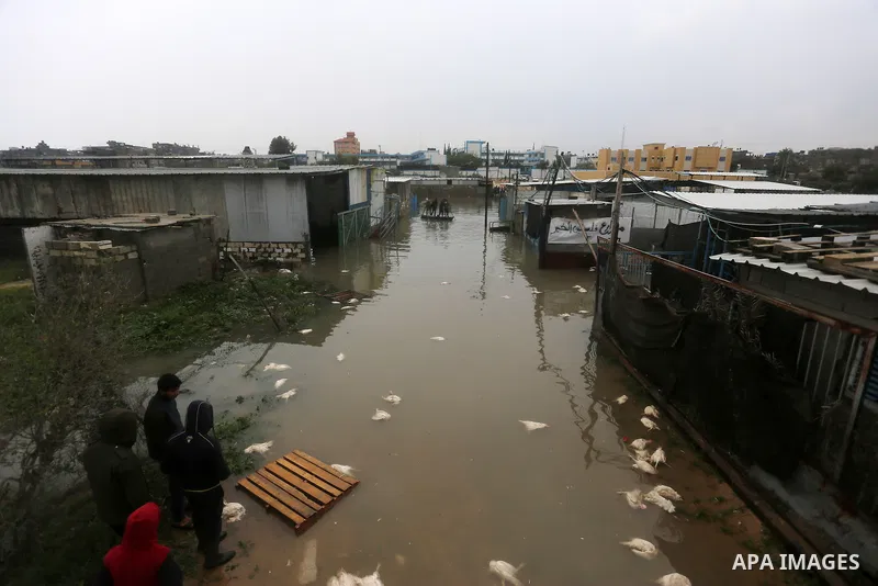 Palestinians paddle a boat in flood waters as they make their way to their flooded chicken farm during a winter storm in Rafah in the southern Gaza Strip January 27, 2016. Photo by Yasser Qudih