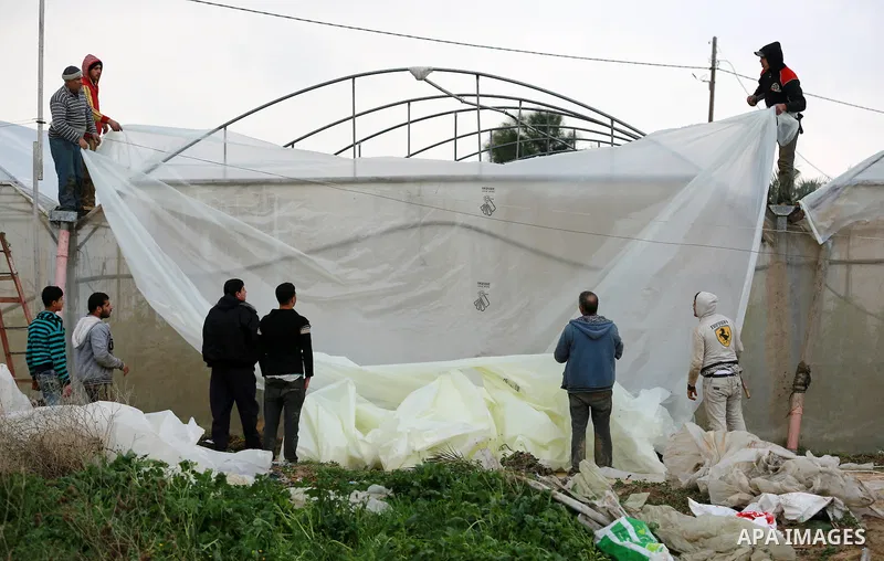 Palestinians repair greenhouses following heavy rainfall in Rafah in the southern Gaza Strip January 27, 2016. Photo by Yasser Qudih