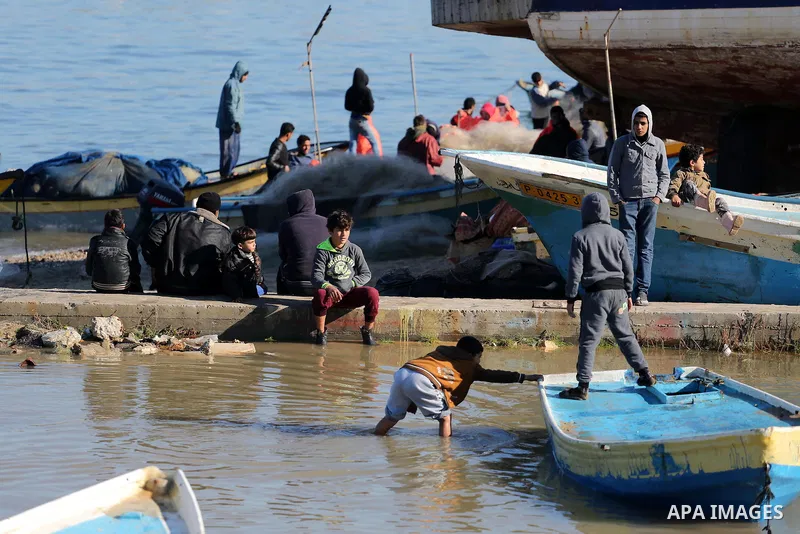 Palestinian fishermen collect fish from their nets at Gaza's seaport of Gaza City, on January 28, 2016. Photo by Mohammed Asad