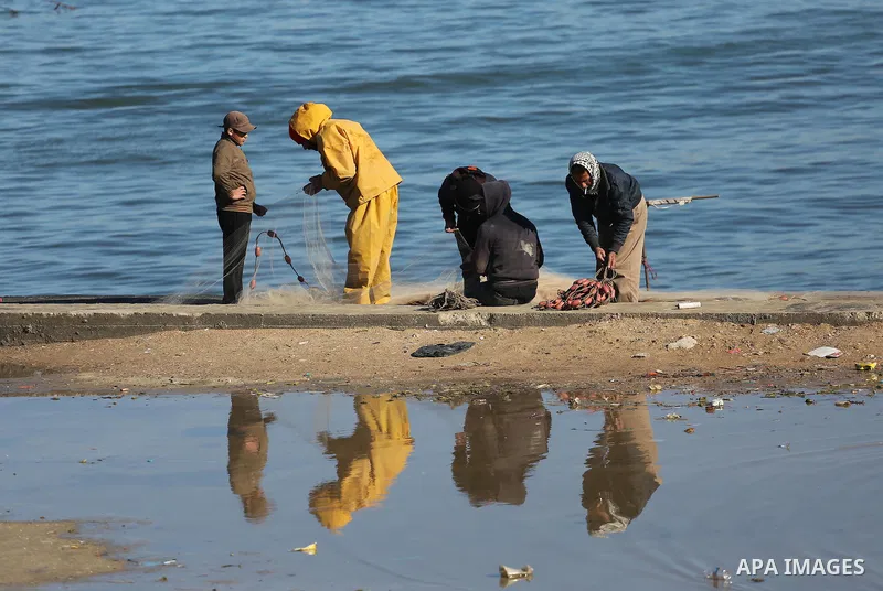 Palestinian fishermen collect fish from their nets at Gaza's seaport of Gaza City, on January 28, 2016. Photo by Mohammed Asad