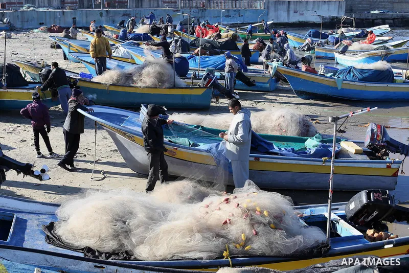 Palestinian fishermen collect fish from their nets at Gaza's seaport of Gaza City, on January 28, 2016. Photo by Mohammed Asad