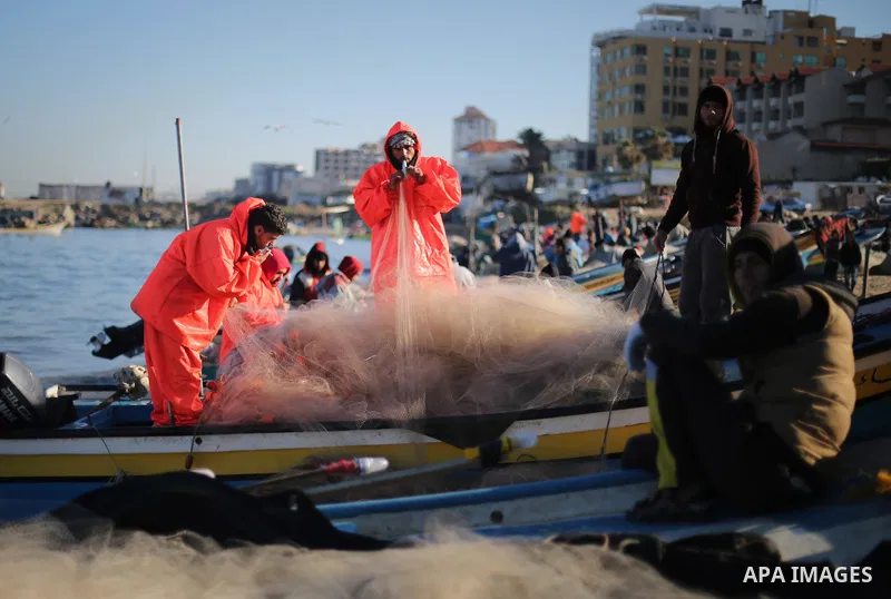 Palestinian fishermen collect fish from their nets at Gaza's seaport of Gaza City, on January 28, 2016. Photo by Mohammed Asad