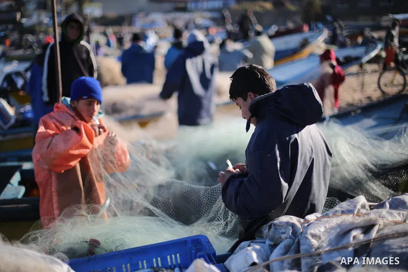 Palestinian fishermen collect fish from their nets at Gaza's seaport of Gaza City, on January 28, 2016. Photo by Mohammed Asad