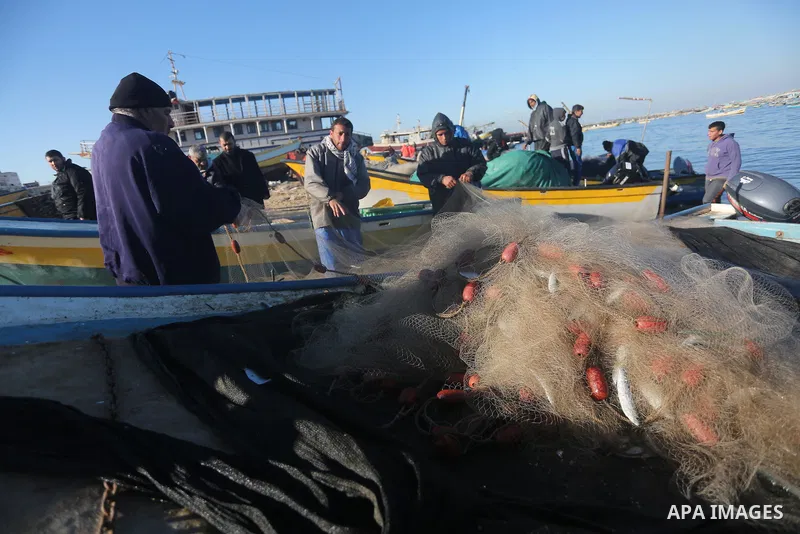 Palestinian fishermen collect fish from their nets at Gaza's seaport of Gaza City, on January 28, 2016. Photo by Mohammed Asad