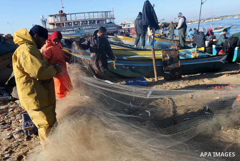 Palestinian fishermen collect fish from their nets at Gaza's seaport of Gaza City, on January 28, 2016. Photo by Mohammed Asad