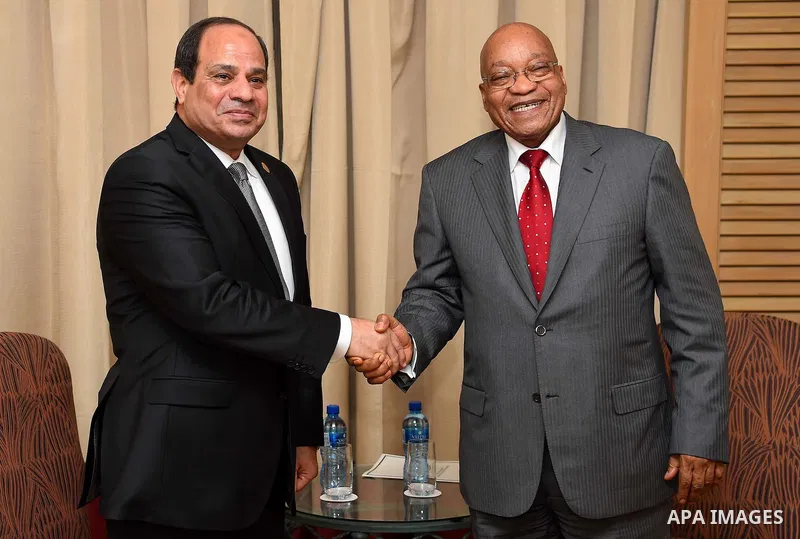 Egyptian President Abdel Fattah al-Sisi meets with President of South Africa, in Cairo, on January 29, 2016. Photo by Egyptian President Office