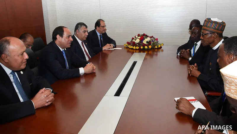 Egypt's President Abdel Fattah al-Sisi meets with Nigerian President, in Ethiopia's capital Addis Ababa, January 31, 2016. Photo by Egyptian President Office