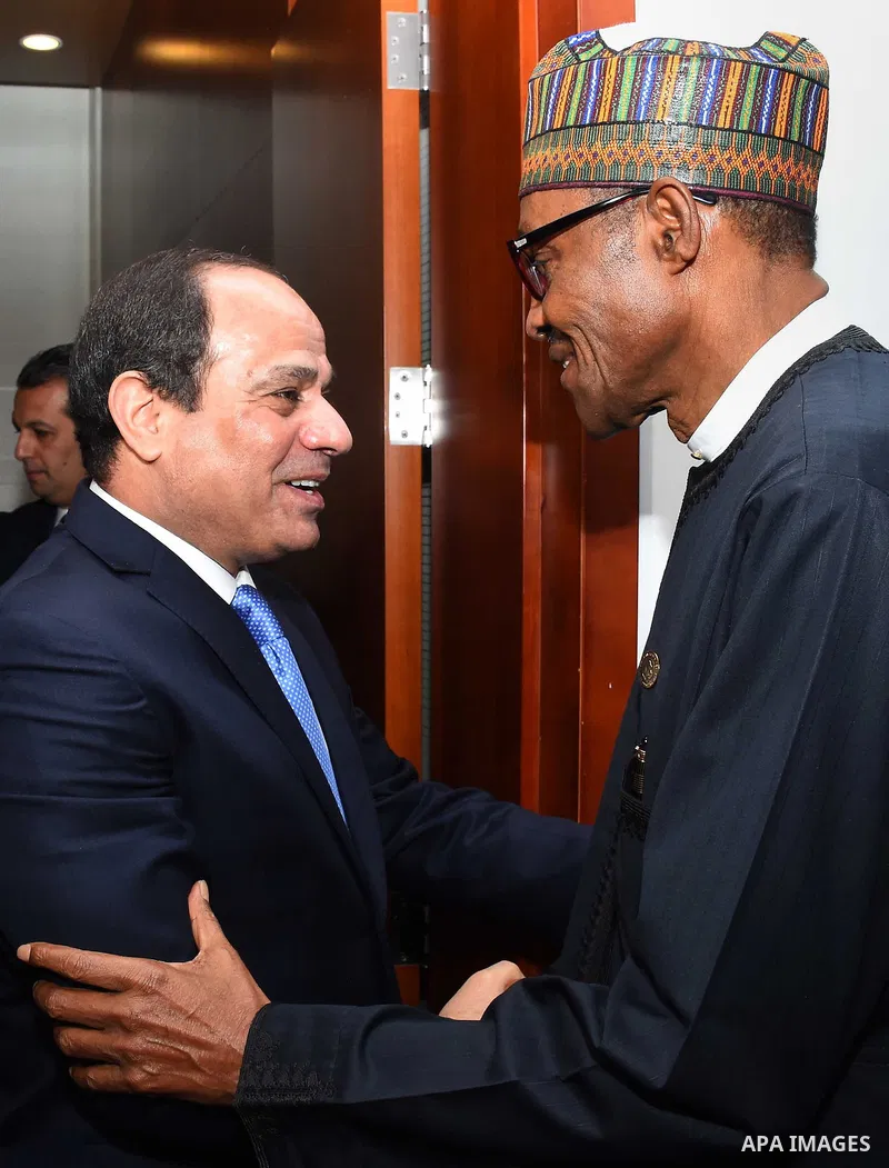 Egypt's President Abdel Fattah al-Sisi meets with Nigerian President, in Ethiopia's capital Addis Ababa, January 31, 2016. Photo by Egyptian President Office