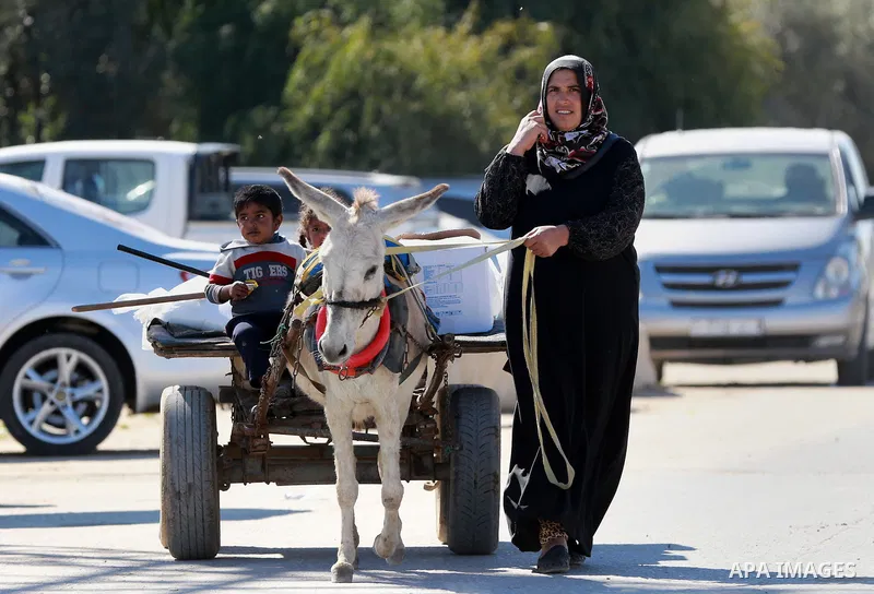 A Palestinian woman rides a donkey cart in Biet Hanoun in the northern Gaza Strip on Feb. 04, 2016. Photo by Yasser Qudih