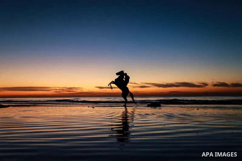 A Palestinian man rides horse during the sunset on the beach of Gaza city on Feb. 04, 2016. Photo by Mohammed Dahman