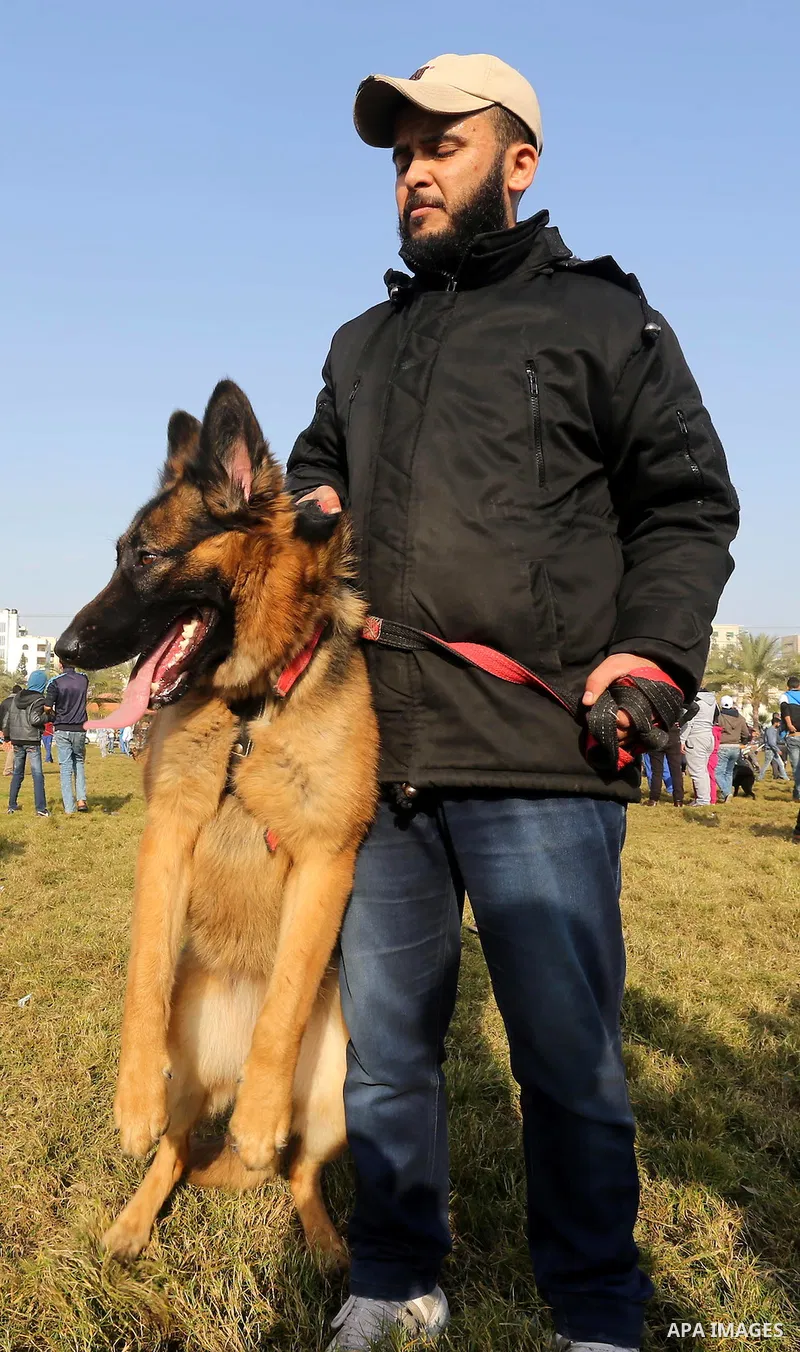 Palestinians show their dogs during the first dog show organized by local dog breeders, in Gaza City February 5, 2016. Following announcements over social media for dog owners to take part, more than thirty different bre...