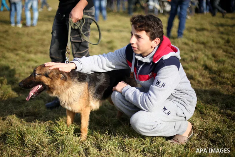 Palestinians show their dogs during the first dog show organized by local dog breeders, in Gaza City February 5, 2016. Following announcements over social media for dog owners to take part, more than thirty different bre...