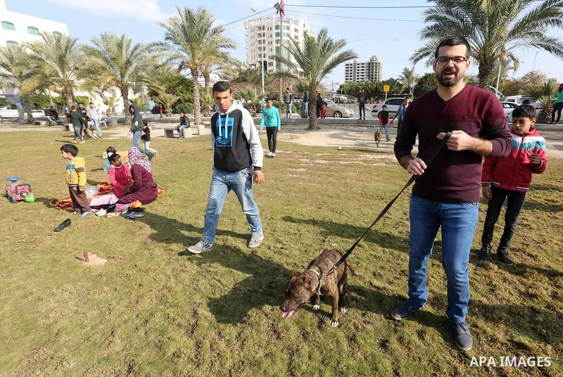 Palestinians show their dogs during the first dog show organized by local dog breeders, in Gaza City February 5, 2016. Following announcements over social media for dog owners to take part, more than thirty different bre...