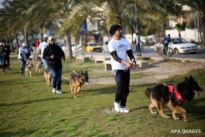 Palestinians show their dogs during the first dog show organized by local dog breeders, in Gaza City February 5, 2016. Following announcements over social media for dog owners to take part, more than thirty different bre...