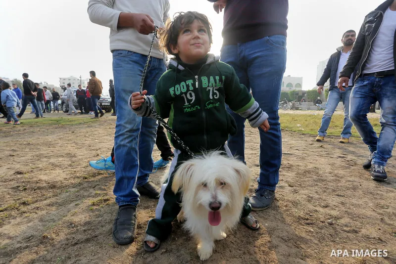Palestinians show their dogs during the first dog show organized by local dog breeders, in Gaza City February 5, 2016. Following announcements over social media for dog owners to take part, more than thirty different bre...
