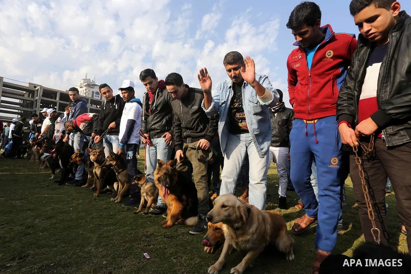 Palestinians show their dogs during the first dog show organized by local dog breeders, in Gaza City February 5, 2016. Following announcements over social media for dog owners to take part, more than thirty different bre...