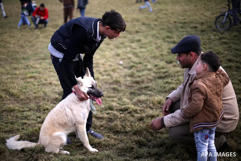 Palestinians show their dogs during the first dog show organized by local dog breeders, in Gaza City February 5, 2016. Following announcements over social media for dog owners to take part, more than thirty different bre...