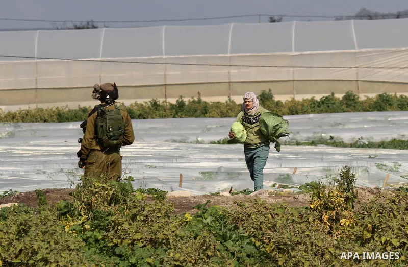 A member of Israeli security forces stands guard during Israeli bulldozers demolish Palestinian homes in the Jordan valley, near the West Bank town of Tubas on February 11, 2016. Israel is planning to annex the Jordan Va...