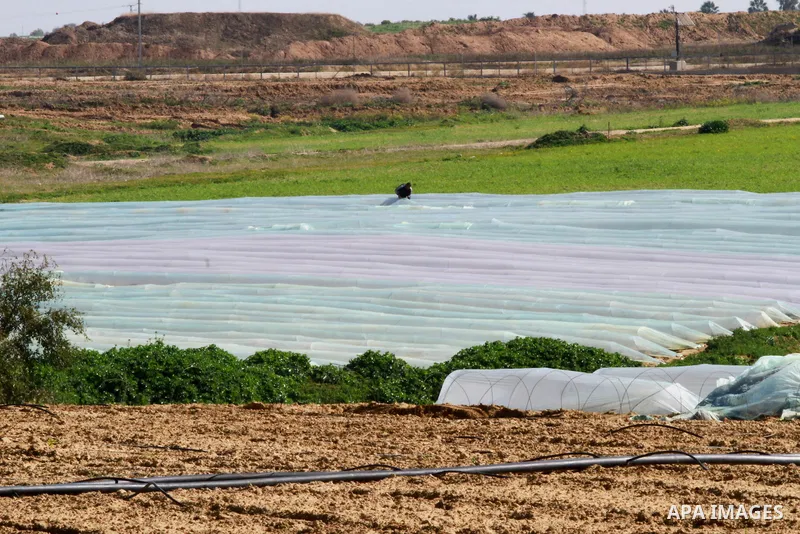 A Palestinian farmer works at his field while An Israeli drill works near the Israeli side of border with the southern Gaza Strip trying to discover tunnels on February 11, 2016. Photo by Yasser Qudih