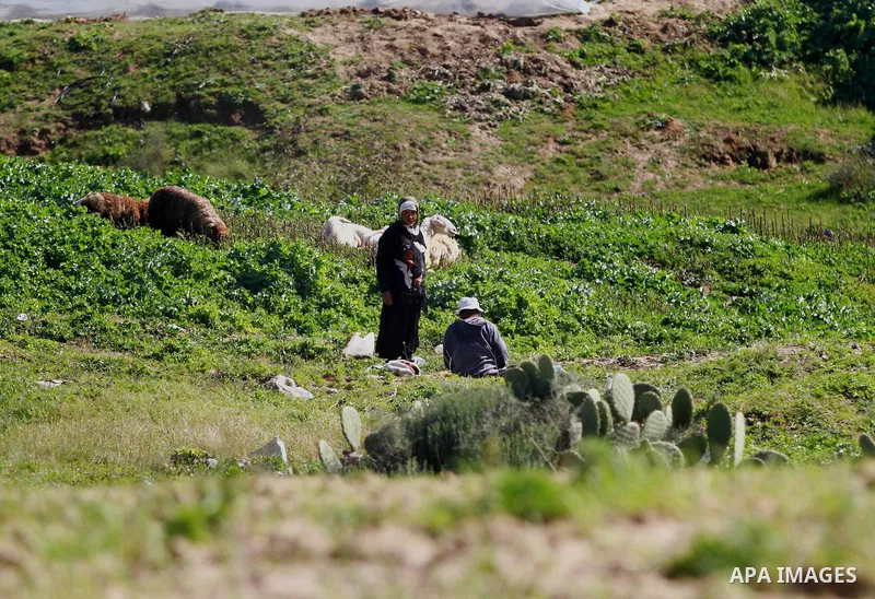 A Palestinian farmer works at his field while An Israeli drill works near the Israeli side of border with the southern Gaza Strip trying to discover tunnels on February 11, 2016. Photo by Yasser Qudih