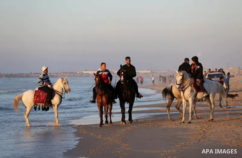 Palestinian youths show their skills on ride horses on the beach of Gaza city on Feb. 12, 2016. Photo by Mohammed Asad
