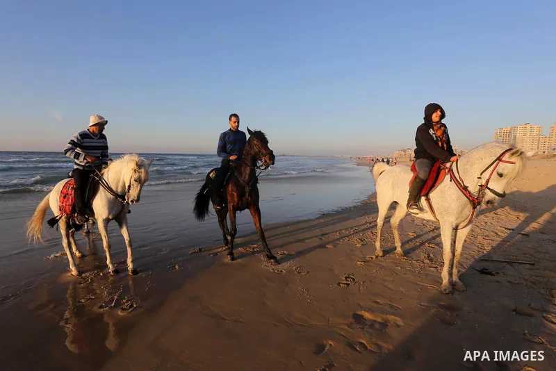 Palestinian youths show their skills on ride horses on the beach of Gaza city on Feb. 12, 2016. Photo by Mohammed Asad