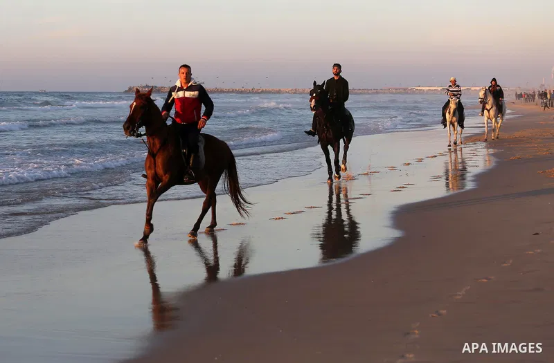 Palestinian youths show their skills on ride horses on the beach of Gaza city on Feb. 12, 2016. Photo by Mohammed Asad