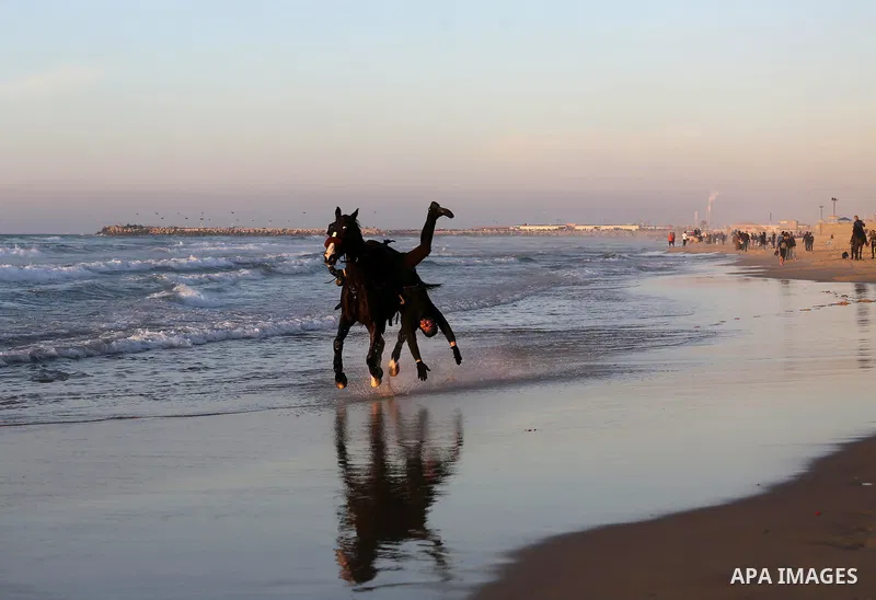 A Palestinian youth shows his skills on rides horses on the beach of Gaza city on Feb. 12, 2016. Photo by Mohammed Asad