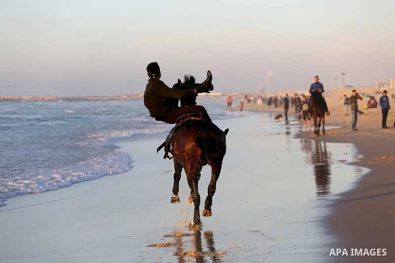 A Palestinian youth shows his skills on rides horses on the beach of Gaza city on Feb. 12, 2016. Photo by Mohammed Asad