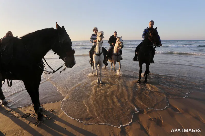 Palestinian youths show their skills on ride horses on the beach of Gaza city on Feb. 12, 2016. Photo by Mohammed Asad