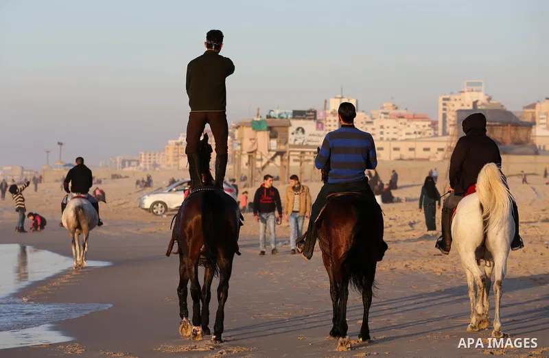 Palestinian youths show their skills on ride horses on the beach of Gaza city on Feb. 12, 2016. Photo by Mohammed Asad