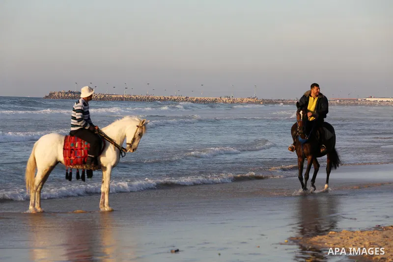 Palestinian youths show their skills on ride horses on the beach of Gaza city on Feb. 12, 2016. Photo by Mohammed Asad