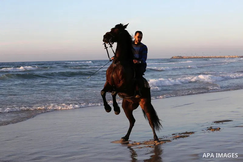 A Palestinian youth shows his skills on rides horses on the beach of Gaza city on Feb. 12, 2016. Photo by Mohammed Asad