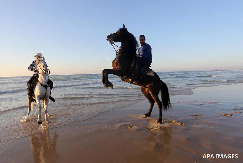 Palestinian youths show their skills on ride horses on the beach of Gaza city on Feb. 12, 2016. Photo by Mohammed Asad