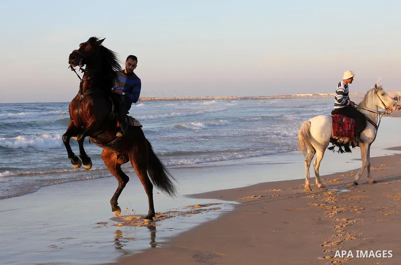 Palestinian youths show their skills on ride horses on the beach of Gaza city on Feb. 12, 2016. Photo by Mohammed Asad