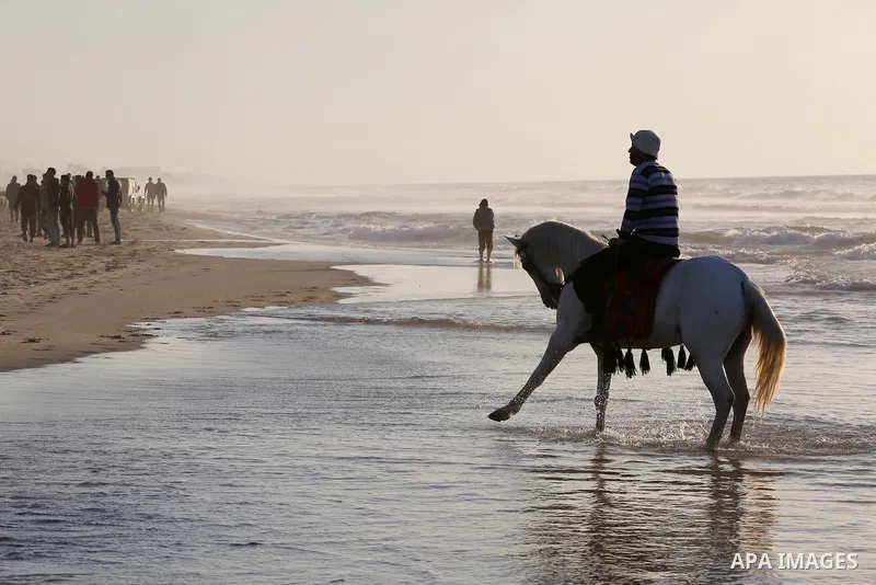 A Palestinian youth shows his skills on rides horses on the beach of Gaza city on Feb. 12, 2016. Photo by Mohammed Asad